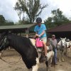2017 Horseback Riding